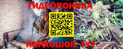 кокаин перу Шахты
