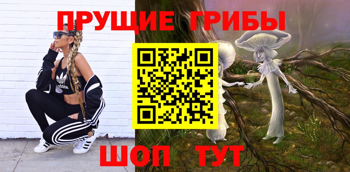 Галлюциногенные грибы Psilocybine cubensis  Вход с VPN  Алушта 